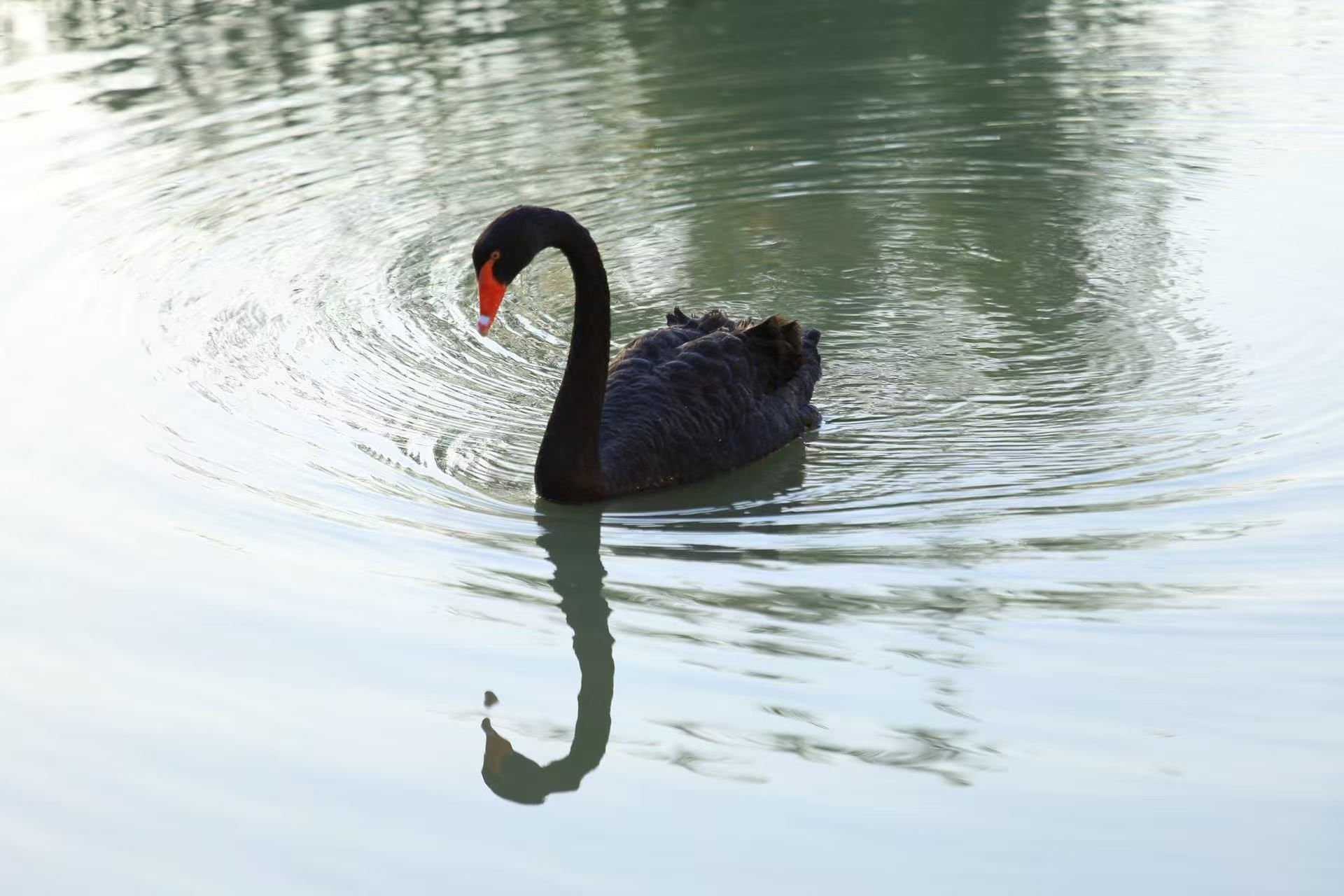 《墨影摇波》赣榆农商行 程超男